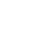 Campaign Execution