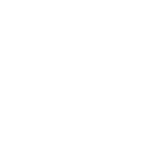 Custom Website Designing
