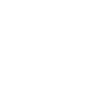 Delivery & Optimization
