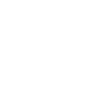 Motion Graphics and Animation.