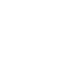 Reporting & Optimization