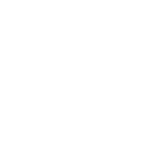 Testing and Review